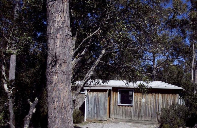 Discovery Parks - Cradle Mountain Accommodation Экстерьер фото